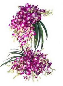 60 purple orchid flower stand