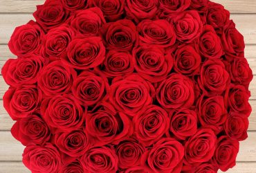 Red roses are the best choice