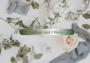 Foliage and Fillers