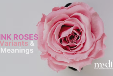pink roses variants