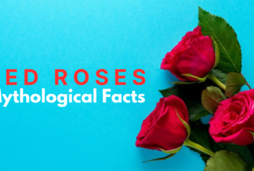 facts about roses